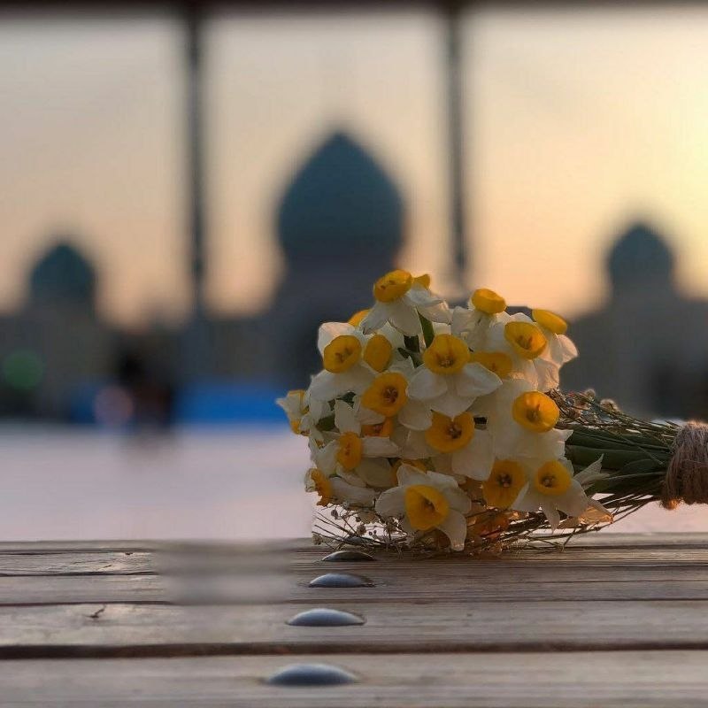 گفتی که می‌خواهی به سوی من بیایی،پس ((بسم الله ))را بر زبان جاری کن و <<زیارت آل یاسین >>رابخوان